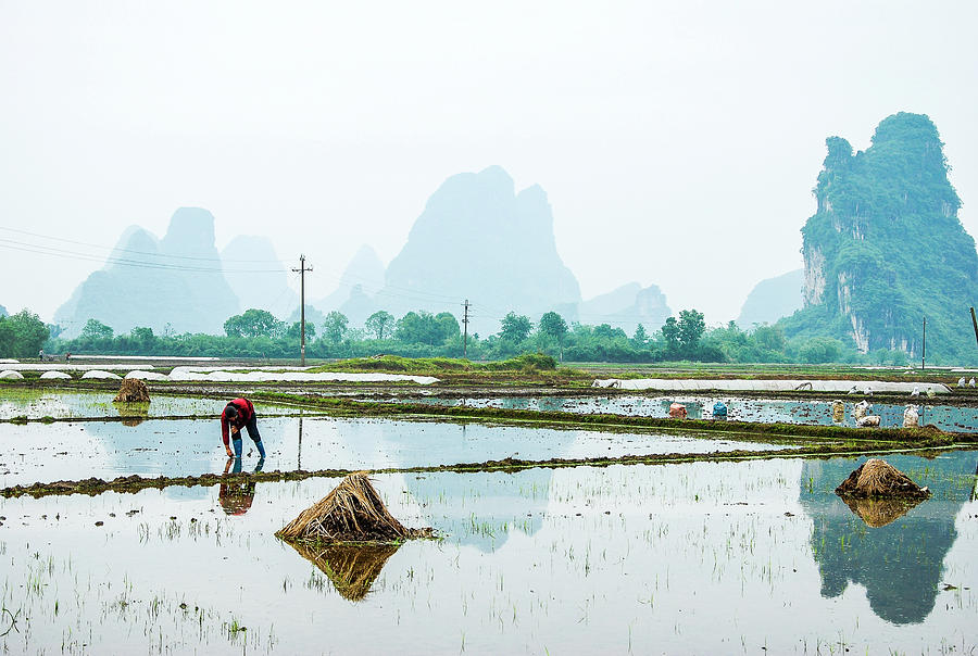 Karst rural scenery in spring #64 Photograph by Carl Ning