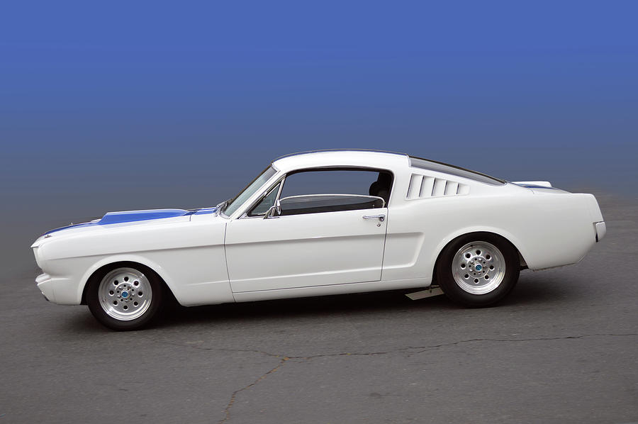 Mustang Fastback Photograph by Bill Dutting
