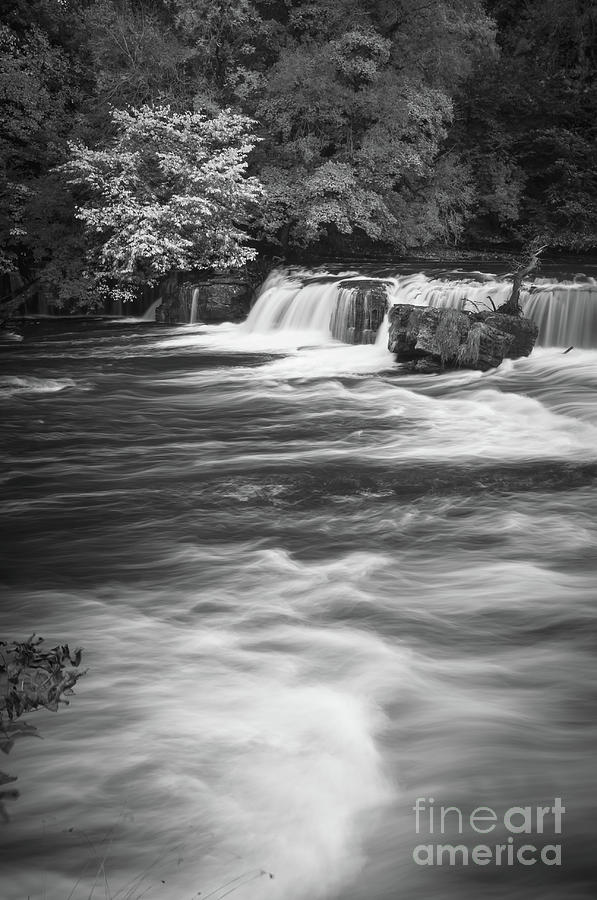 Aysgarth Falls #65 Photograph by Mariusz Talarek