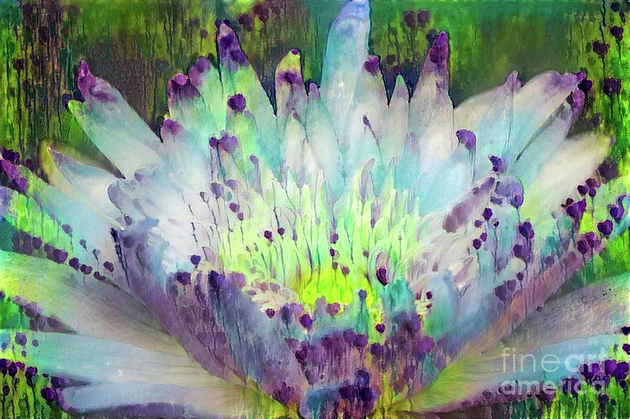 Jeweled Water Lilies #65 Digital Art by Amy Cicconi