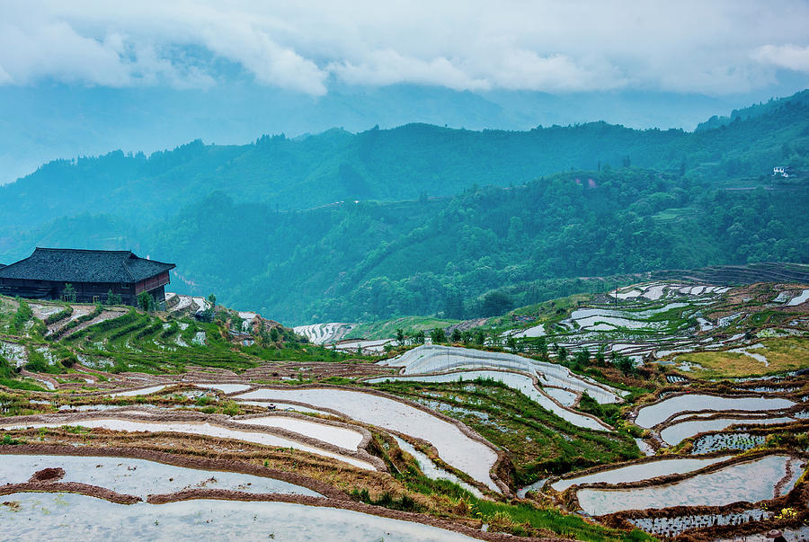 Longji terraced fields scenery #65 Photograph by Carl Ning