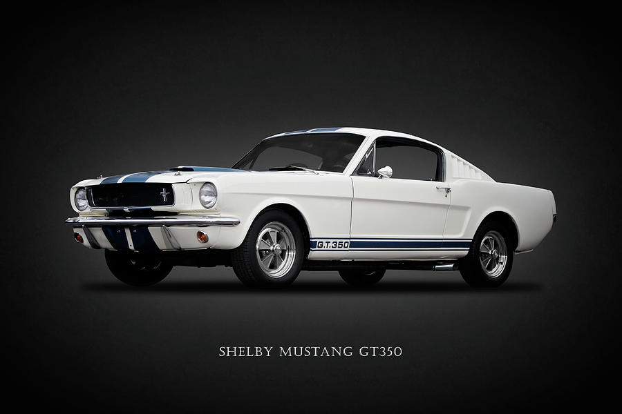 Shelby Mustang Photograph - 65 Shelby GT350 by Mark Rogan