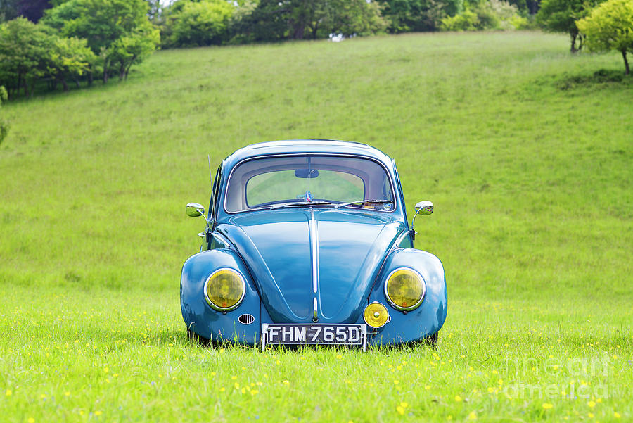 66 Beetle Photograph by Tim Gainey