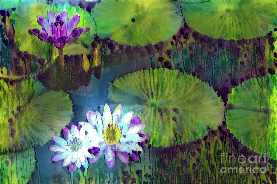 Jeweled Water Lilies #66 Digital Art by Amy Cicconi