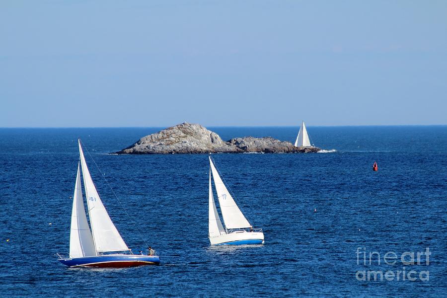 Marblehead MA #66 Photograph by Donn Ingemie