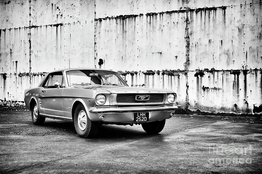 Car Photograph - 66 Mustang by Tim Gainey