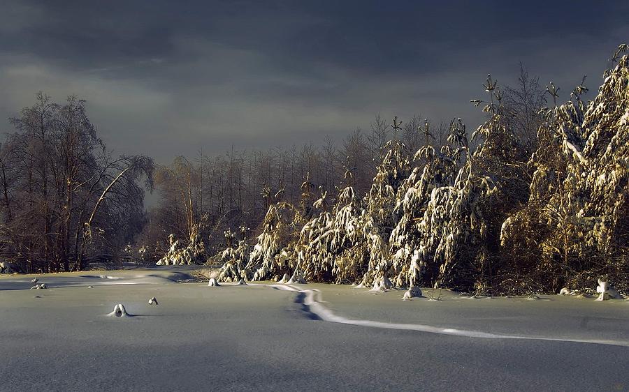 Winter Digital Art - Winter #66 by Super Lovely