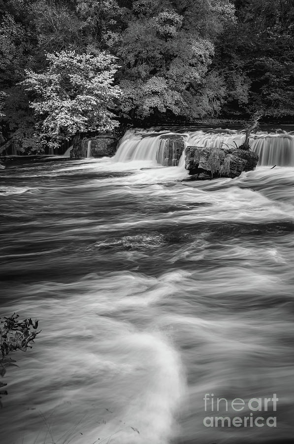 Nature Photograph - Aysgarth Falls #67 by Mariusz Talarek