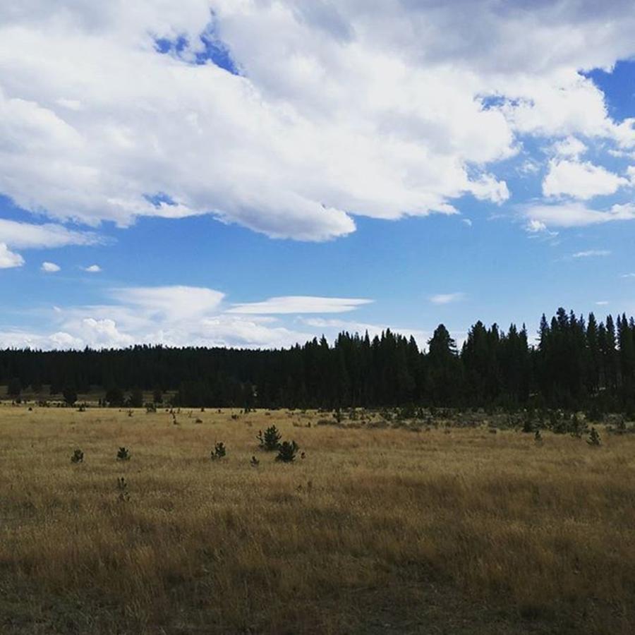 Yellowstone National Park Photograph - Blue sky meets golden grass by Jonathan Stoops
