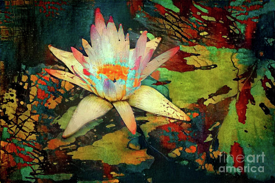 Flower Digital Art - Jeweled Water Lilies #68 by Amy Cicconi