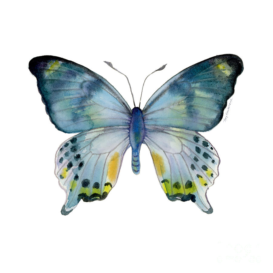 Butterfly Painting - 68 Laglaizei Butterfly by Amy Kirkpatrick Butterfly Painting - 68 Laglaizei Butterfly by Amy Kirkpatrick