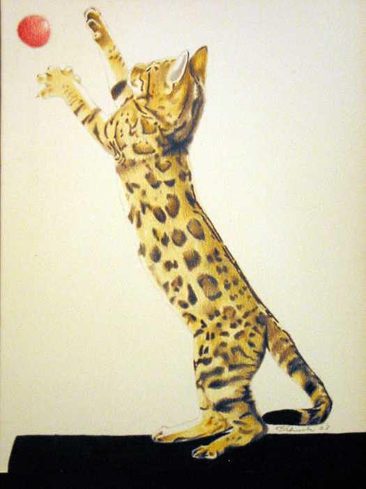 Animals Painting - Pet Impressions-Cat with Ball by Kyle Adamache Animals Painting - Pet Impressions-Cat with Ball by Kyle Adamache