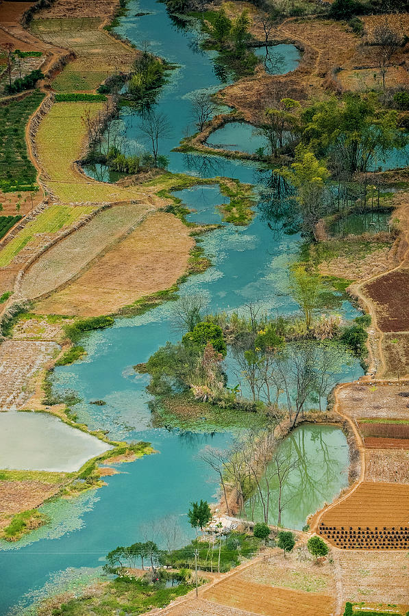 Rice fields scenery in autumn #69 Photograph by Carl Ning