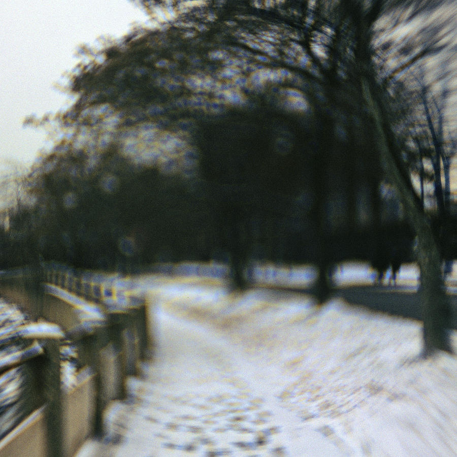 Roosevelt Island Photograph - 6x6 Photo 6 by Diego Heckadon Roosevelt Island Photograph - 6x6 Photo 6 by Diego Heckadon