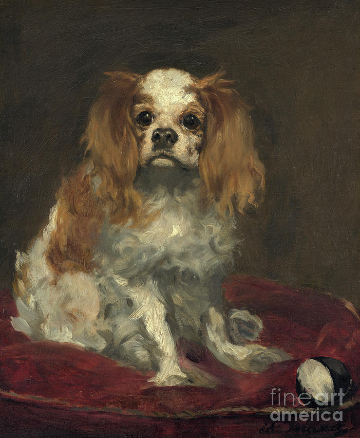 A King Charles Spaniel Painting by Edouard Manet