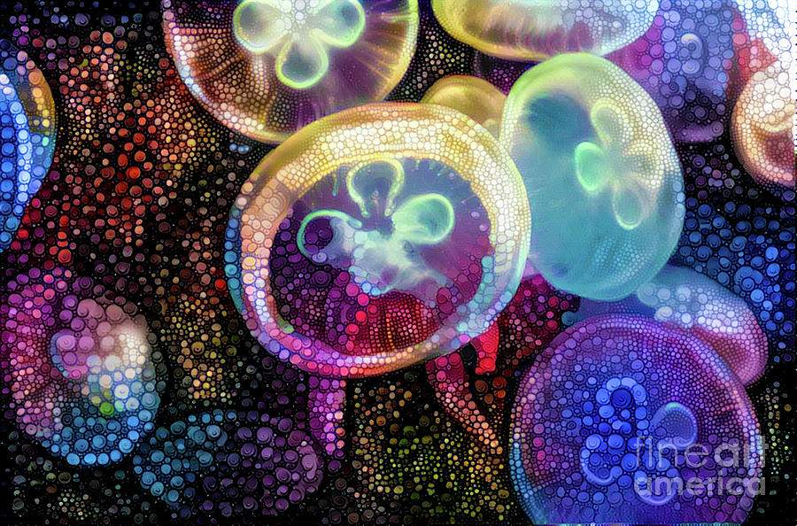Nature Digital Art - Abstract Jellyfish #7 by Amy Cicconi