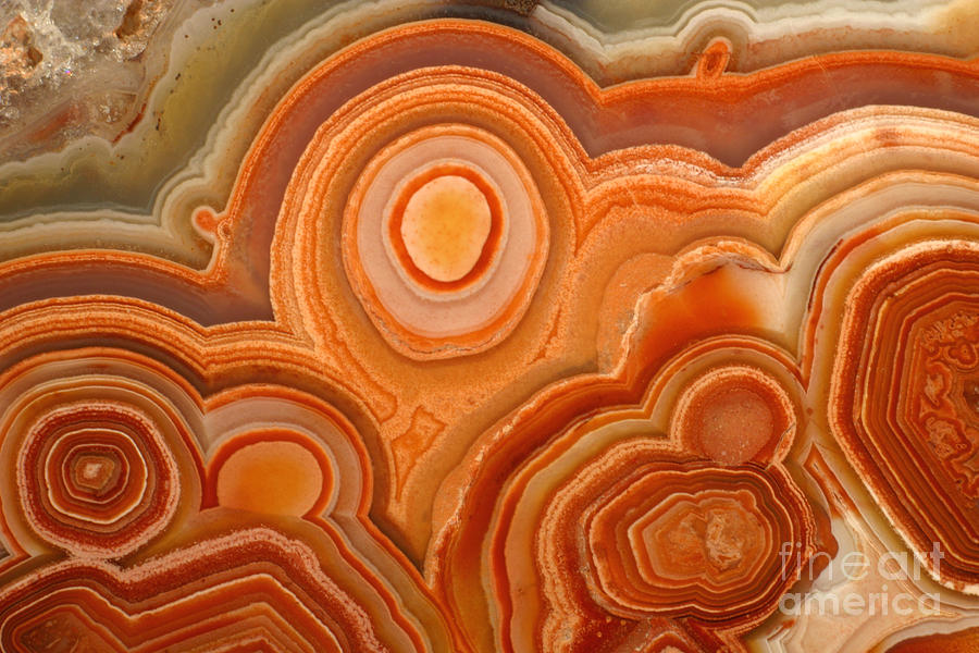 Agate #7 Photograph by Ted Kinsman