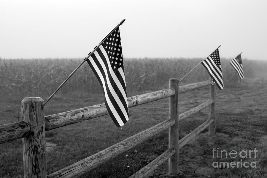 American Flag Farmland #7 Photograph by Jim Corwin