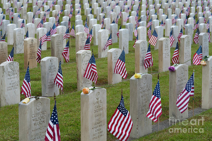 American Flags At Cemetery Photograph