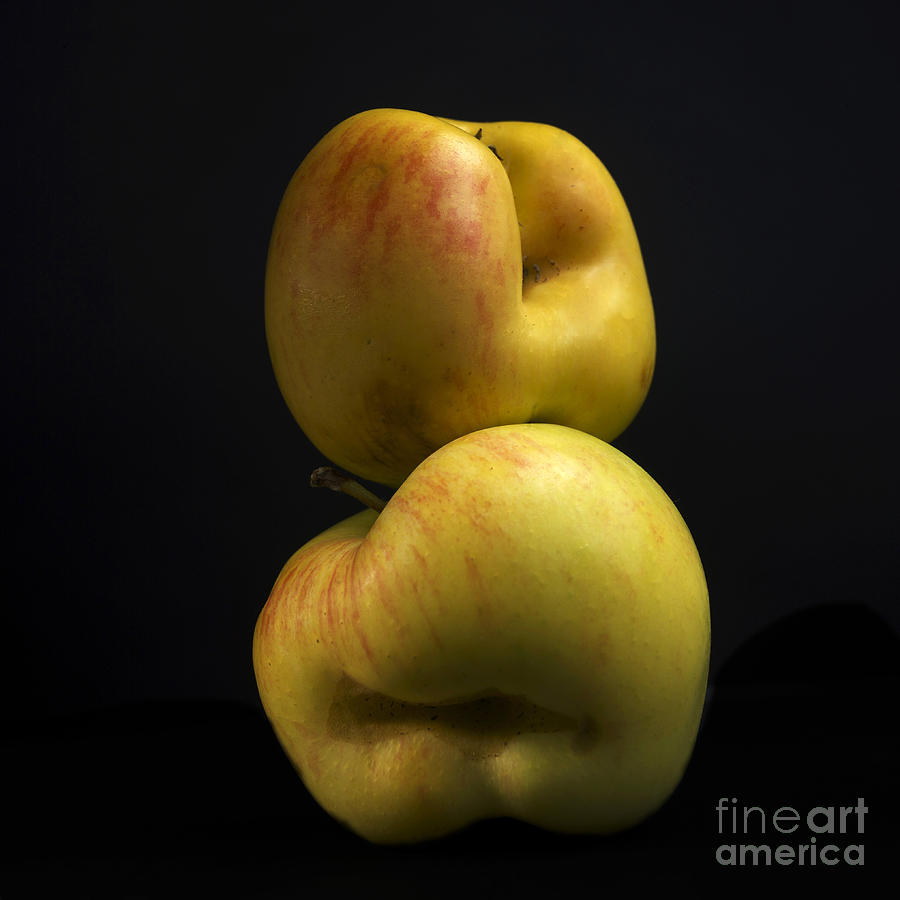 Apple Photograph - Apples #7 by Bernard Jaubert