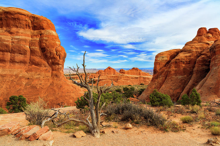 Arches National Park Photograph by Raul Rodriguez