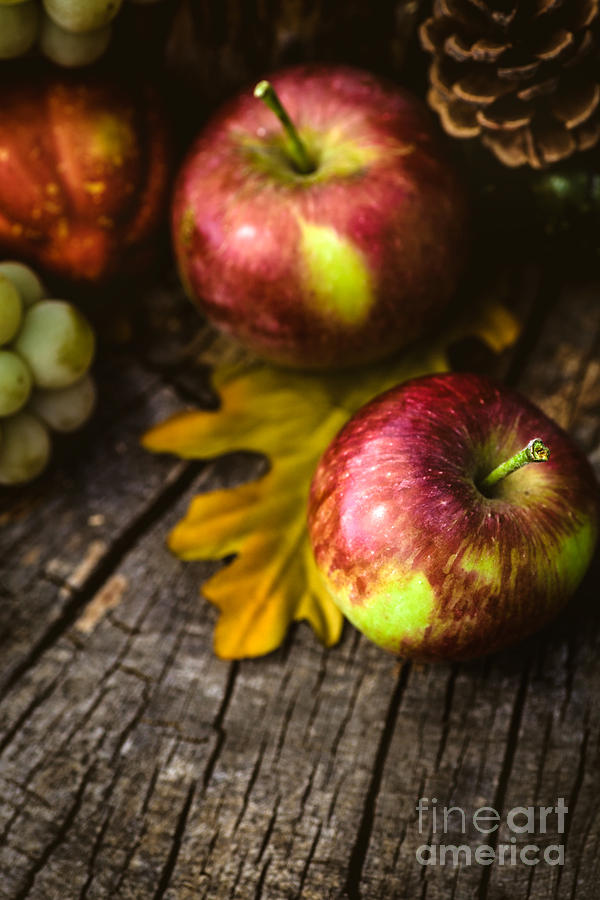 Apple Photograph - Autumn fruit #7 by Mythja Photography