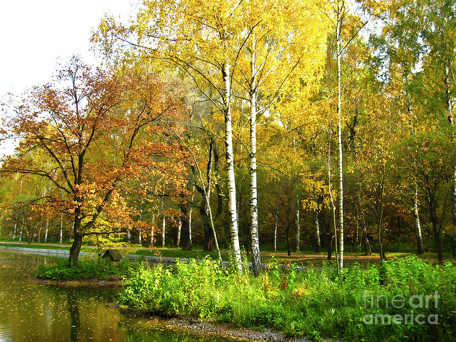 Autumn landscape #7 Photograph by Irina Afonskaya