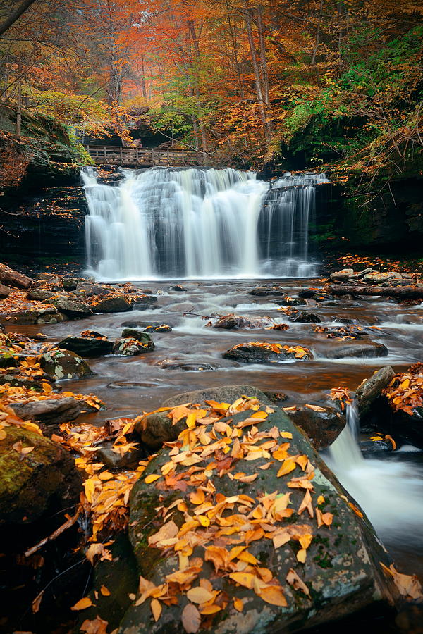 Autumn waterfalls #7 Photograph by Songquan Deng