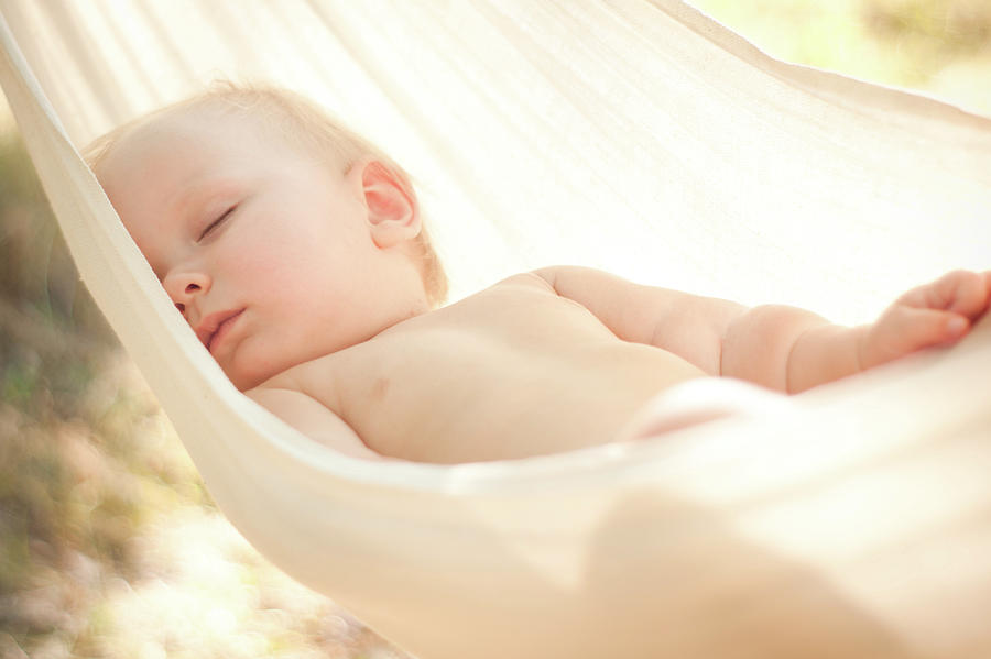 Baby sleep quiet into hammock Photograph by Andrey Burkov
