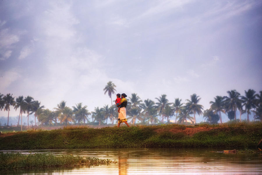Jungle Photograph - Backwaters Kerala - India #7 by Joana Kruse