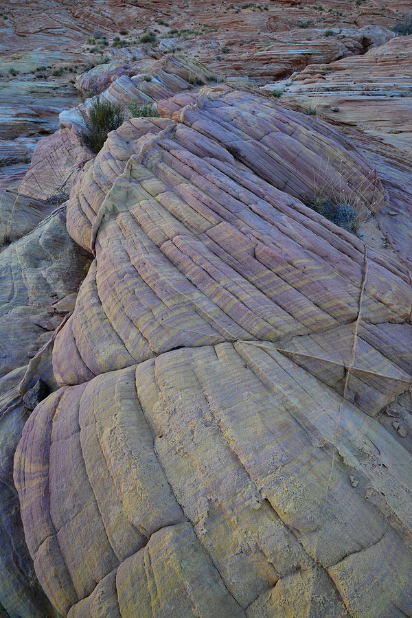 Bands of Color in Valley of Fire #7 Photograph by Ray Mathis