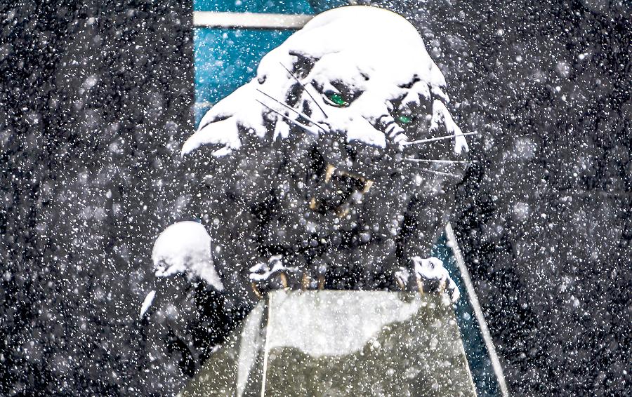 Black Panther Statue Seen Through Falling Snow Flakes #7 Photograph by Alex Grichenko