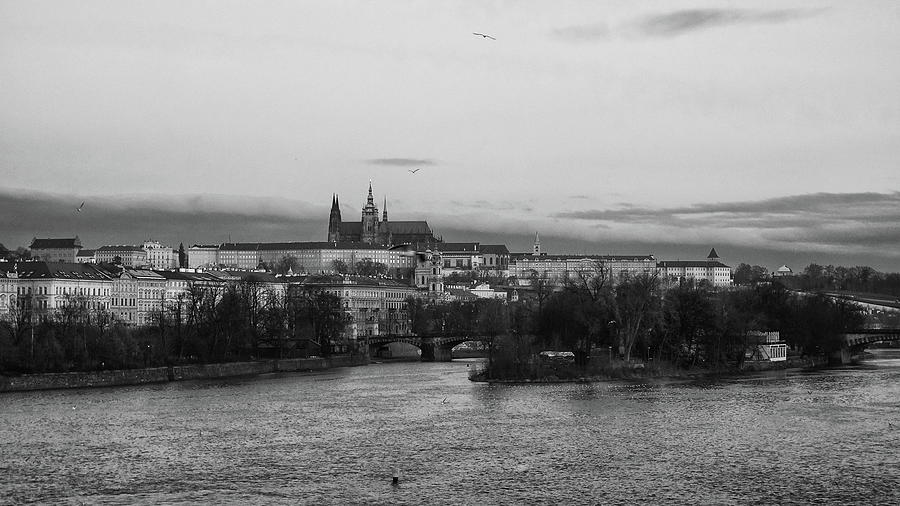 By The Vltava. Prague Spring 2017 Photograph
