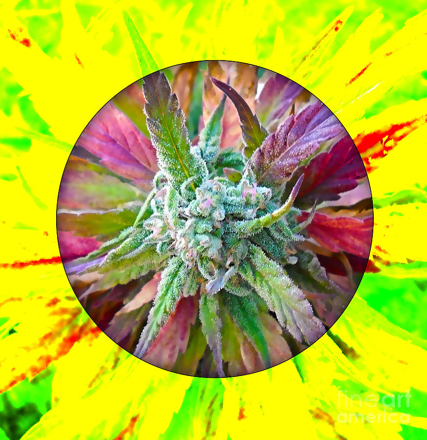 Cool Mixed Media - Cannabis 420 Collection #7 by Marvin Blaine
