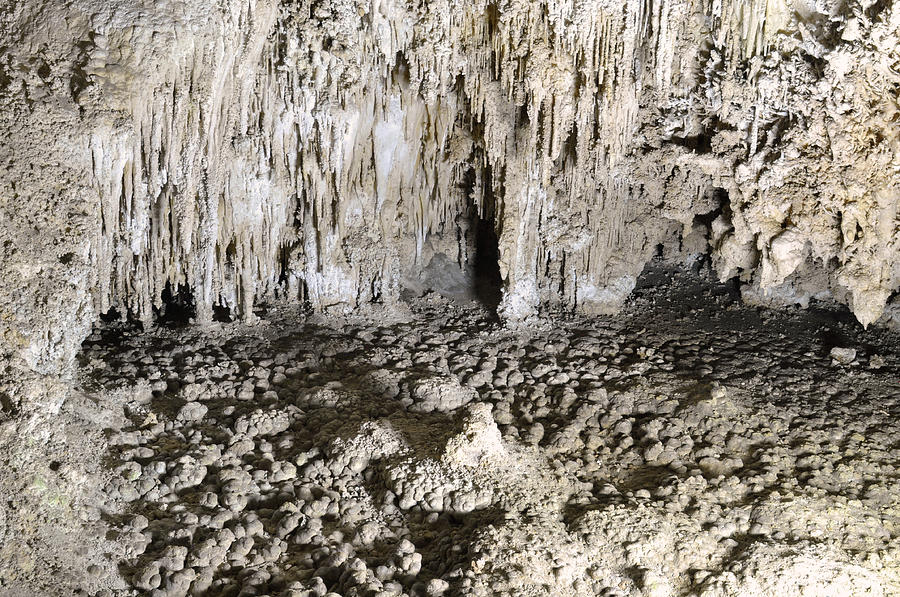Carlsbad Caverns Detail #7 Photograph by Stephen Vecchiotti