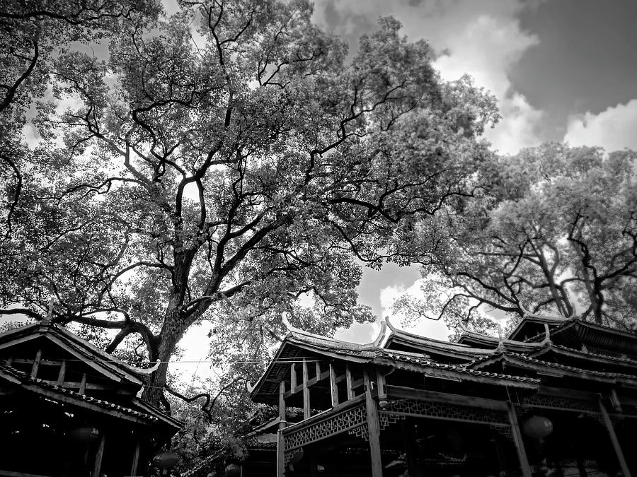 桂林 Chinese style retro building Photography | 攝影    [ 潘俊宏 Arttopan -艺术家 artist ]