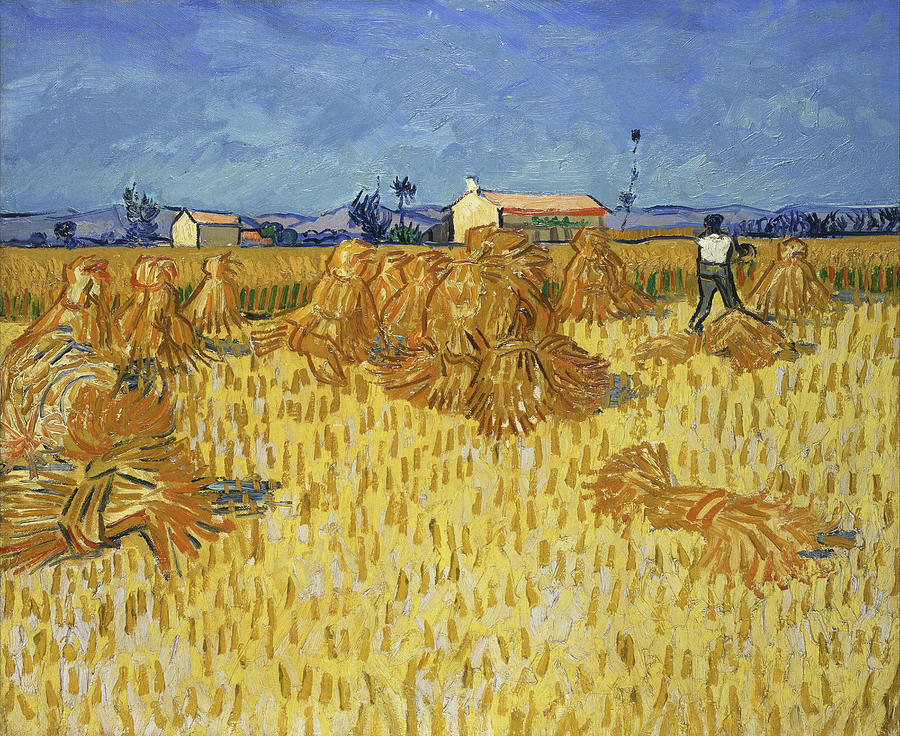 Corn Harvest in Provence #7 Painting by Vincent Van Gogh