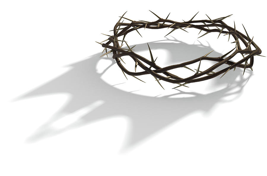 Crown Of Thorns Digital Art by Allan Swart - Pixels