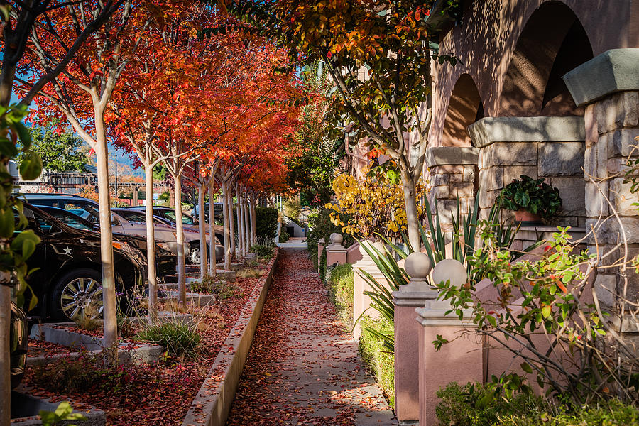 Cupertino Fall Photograph by Jayasimha Nuggehalli Fine Art America