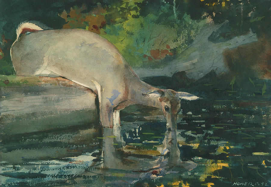 deer drinking water painting