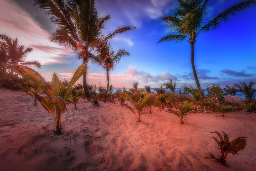 Dominicana Beach #7 Photograph by Peter Lakomy