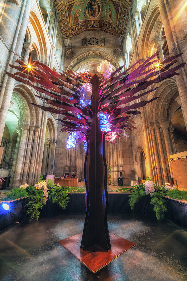 Ely Cathedral Flower Festival #7 Photograph by James Billings