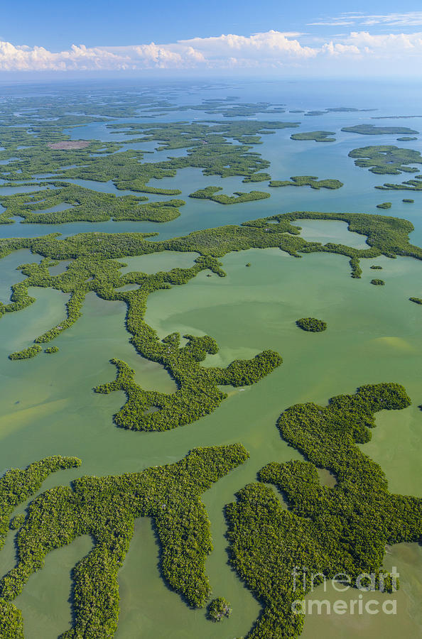 Everglades Aerial #7 Photograph by Juan Carlos Muoz