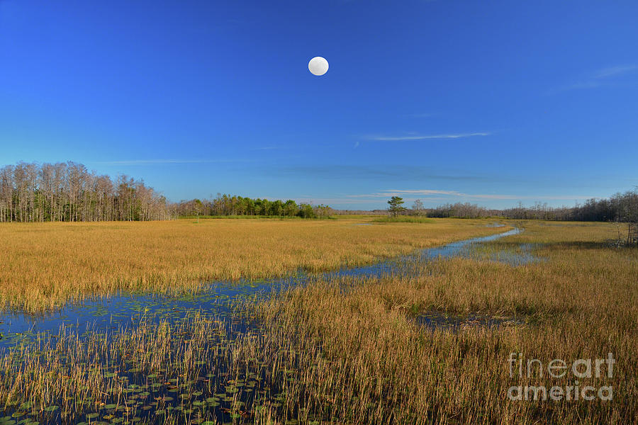7- Everglades Moon Photograph by Joseph Keane