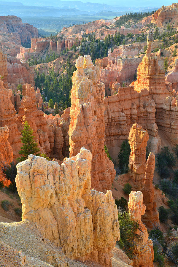Fairyland Canyon #18 Photograph by Ray Mathis