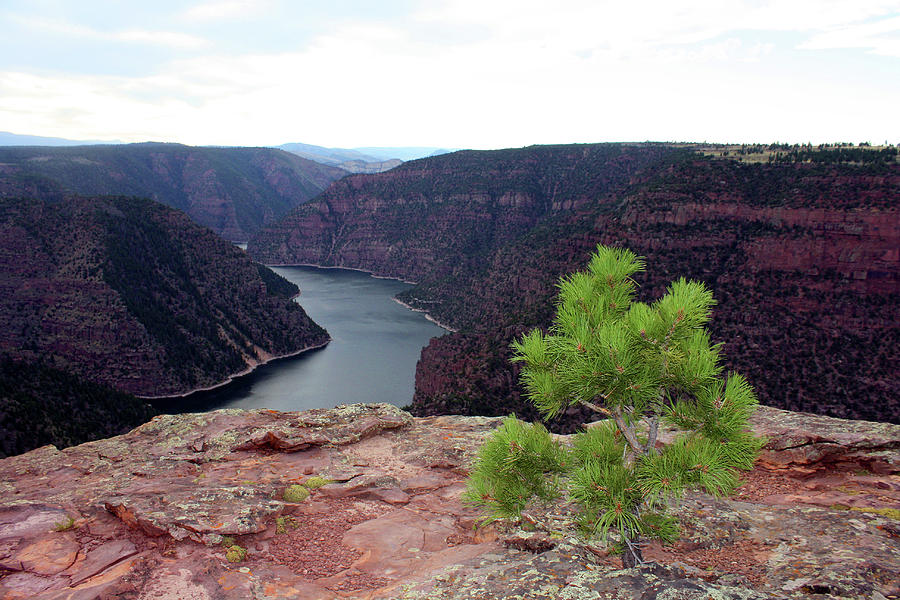 Flaming Gorge National Park #7 Photograph by Ellen Tully