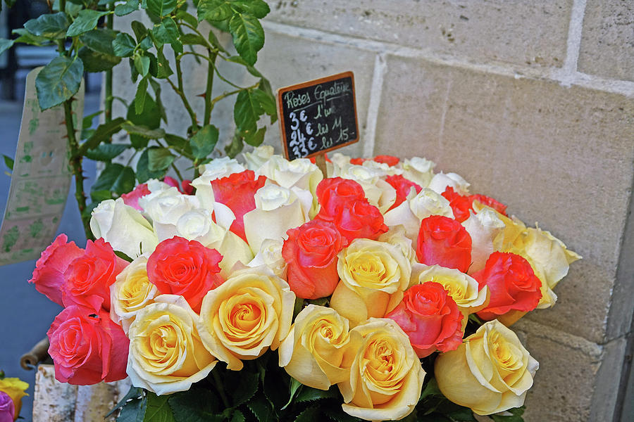 Flower Shop Display In Paris, France #7 Photograph by Rick Rosenshein