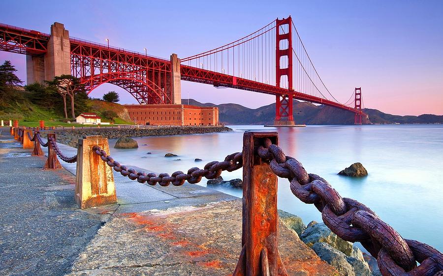 Crane Digital Art - Golden Gate #7 by Super Lovely