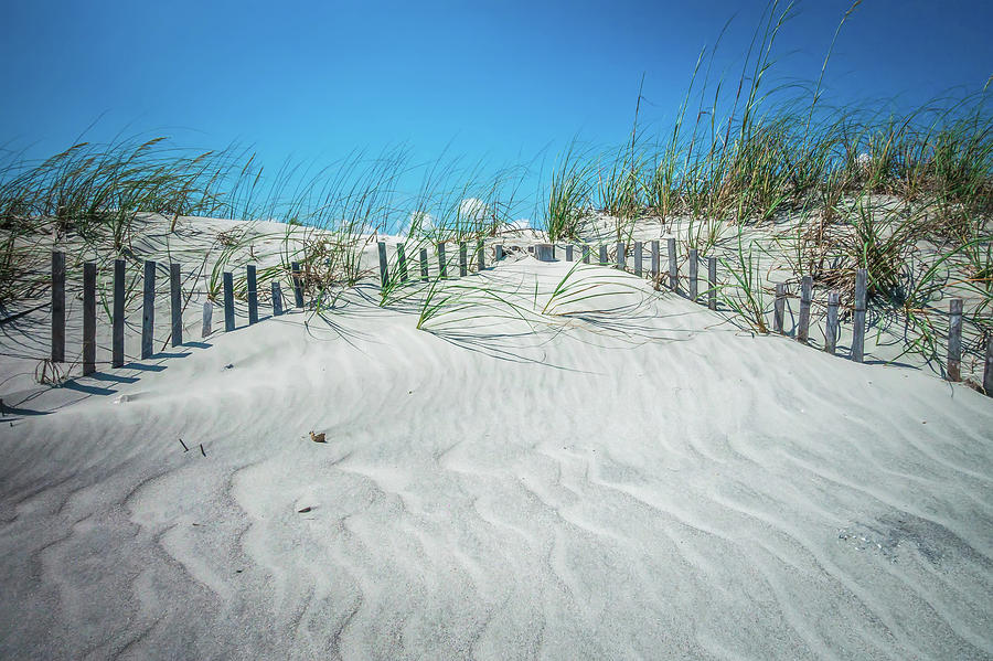 Grassy Windy Sand Dunes On The Beach #7 Photograph by Alex Grichenko