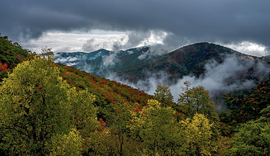   Great Smoky Mountains National Park  #7 Photograph by Alex Grichenko